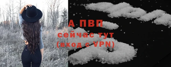PSILOCYBIN Аркадак