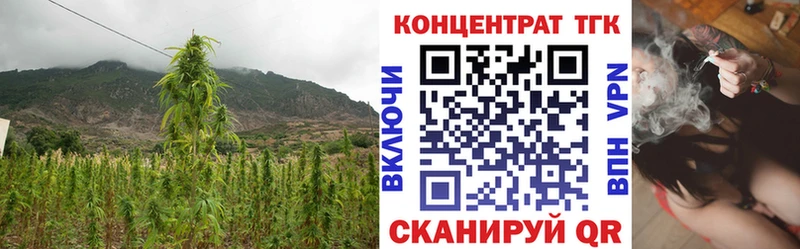 ТГК Wax  Фрязино 
