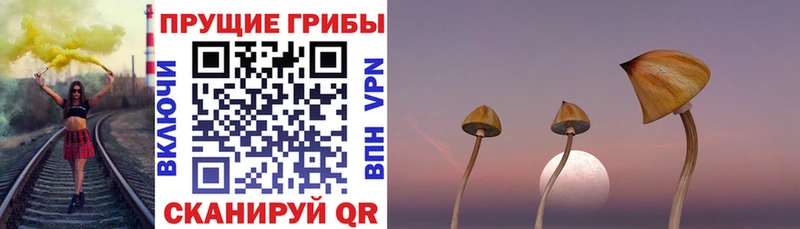 Галлюциногенные грибы Psilocybe  гидра рабочий сайт  Фрязино 